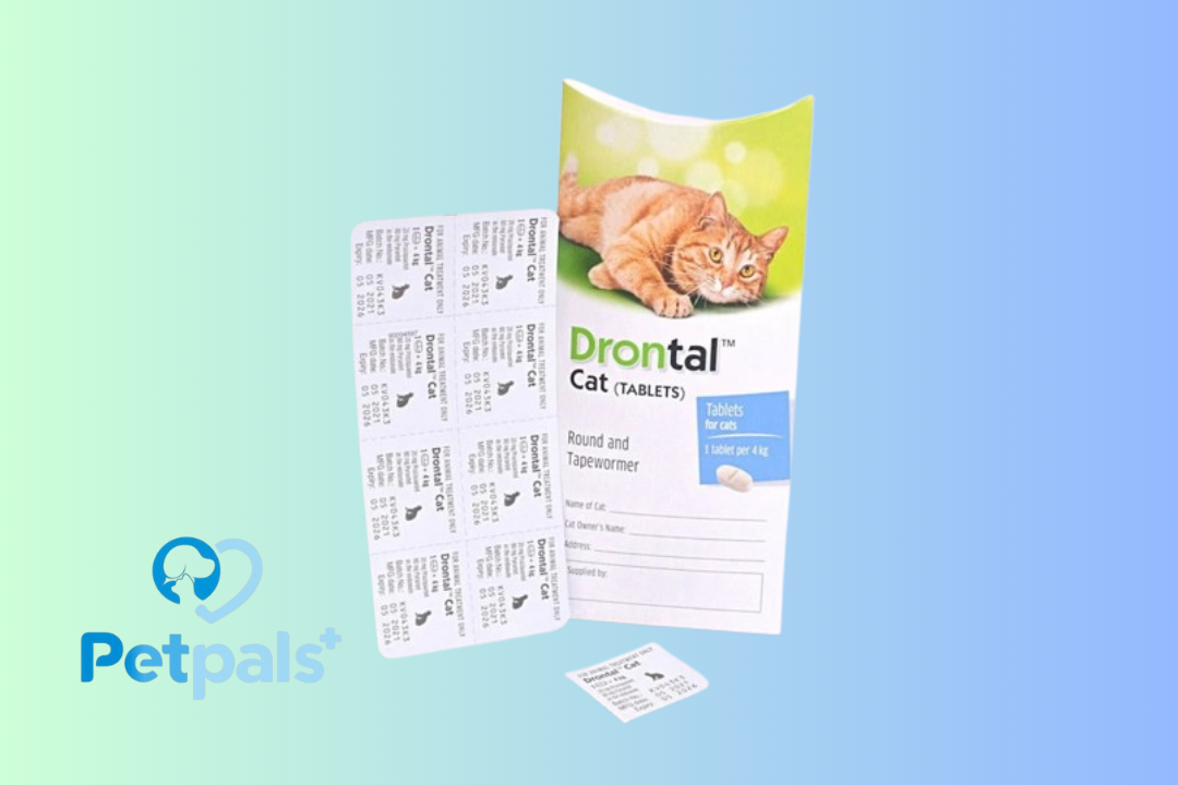 Drontal Cat Tablet Obat Cacing Kucing